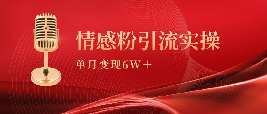 (9473期)单月变现6w+，情感粉引流变现实操课-小哈资源