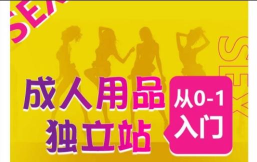 成人用品独立站从0-1入门，成品独立站运营全流程教学，七大好卖成品独立站推荐-小哈资源