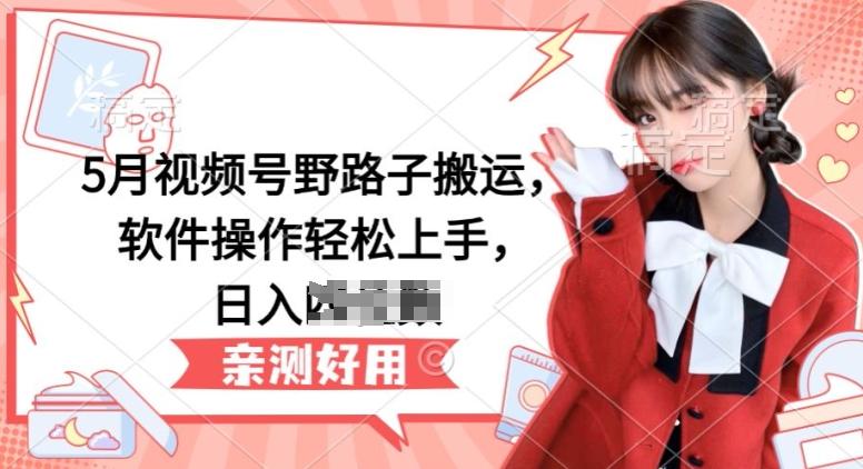 5月视频号野路子搬运，软件操作轻松上手，日入三位数【揭秘】-小哈资源