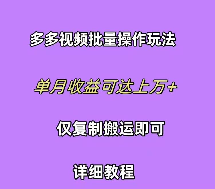 (10029期)拼多多视频带货快速过爆款选品教程 每天轻轻松松赚取三位数佣金 小白必…-小哈资源
