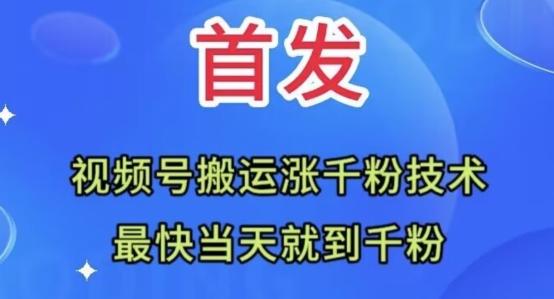全网首发:视频号无脑搬运涨千粉技术,最快当天到千粉【揭秘】