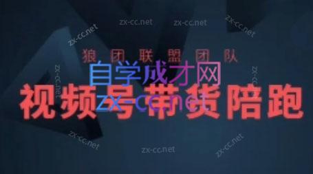 狼团联盟·2024视频号带货-小哈资源