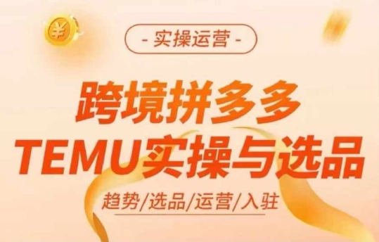 跨境拼多多TEMU实操与选品，多多temu跨境选品运营实操-小哈资源