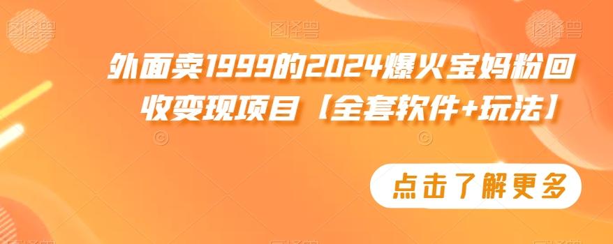 外面卖1999的2024爆火宝妈粉回收变现项目【全套软件+玩法】【揭秘】-小哈资源