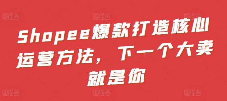 Shopee爆款打造核心运营方法，下一个大卖就是你-小哈资源