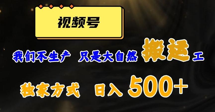 视频号轻松搬运日赚500+，一个1分钟1条原创视频【揭秘】-小哈资源