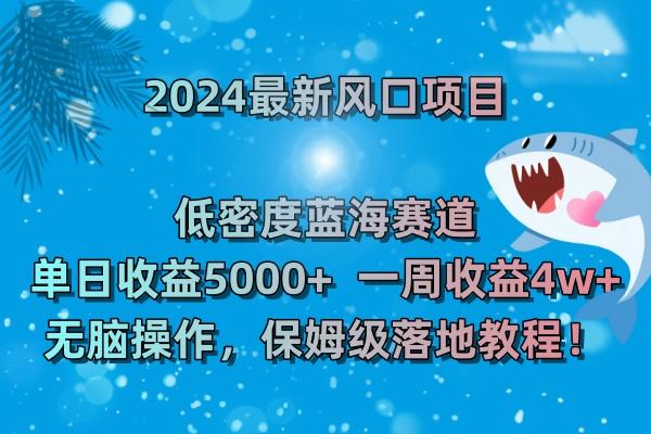 (8545期)2024最新风口项目 低密度蓝海赛道，日收益5000+周收益4w+ 无脑操作，保…-小哈资源