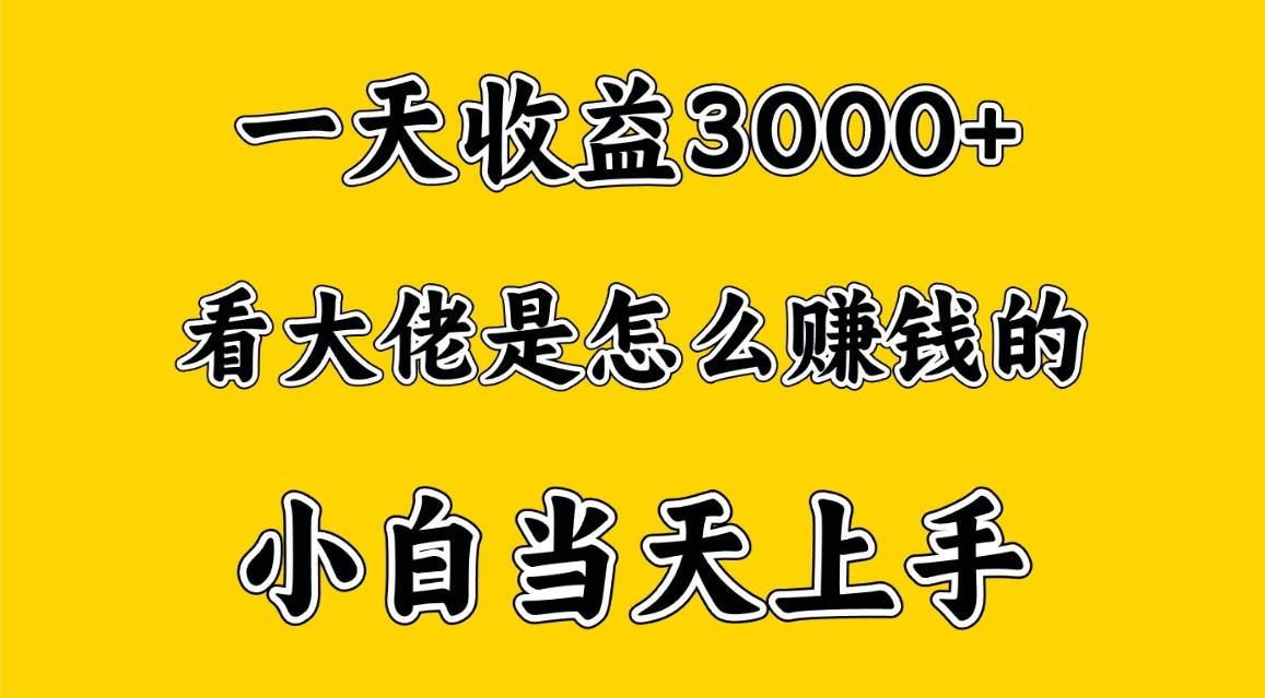 一天赚3000多，大佬是这样赚到钱的，小白当天上手，穷人翻身项目-小哈资源