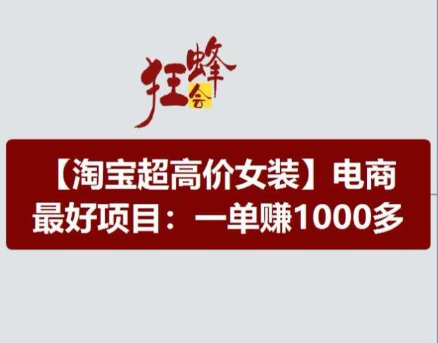 淘宝超高价女装项目，电商最好赛道，一单赚1000多-小哈资源