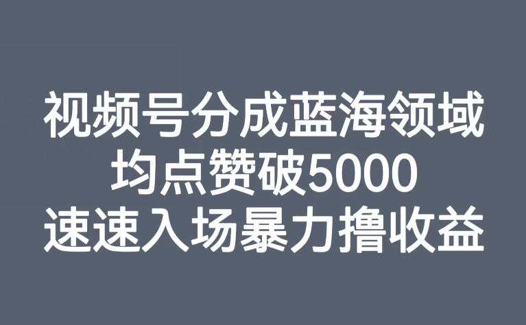 视频号分成蓝海领域，均点赞破5000，速速入场暴力撸收益-小哈资源