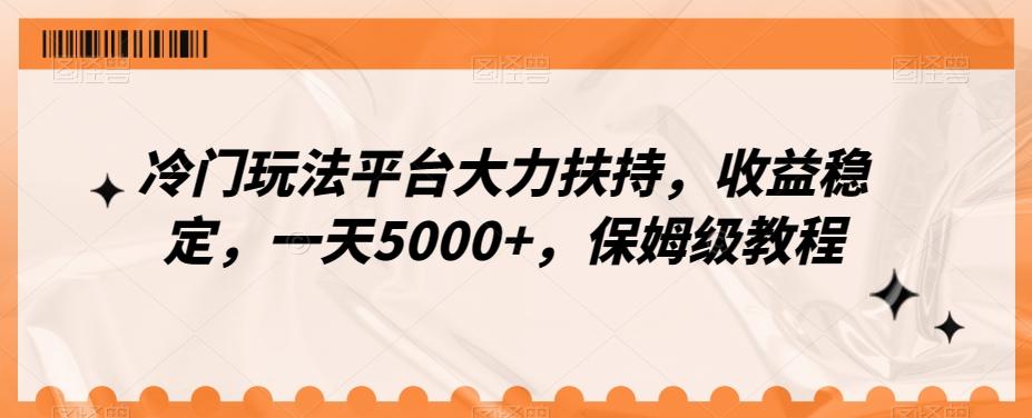 冷门玩法平台大力扶持，收益稳定，一天5000+，保姆级教程（附抖音7天起号法）-小哈资源