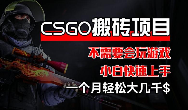 CSGO 装备搬砖项目，操作简单，不需要会玩游戏，小白也能快速上手，一个月轻松大几千【揭秘】-小哈资源