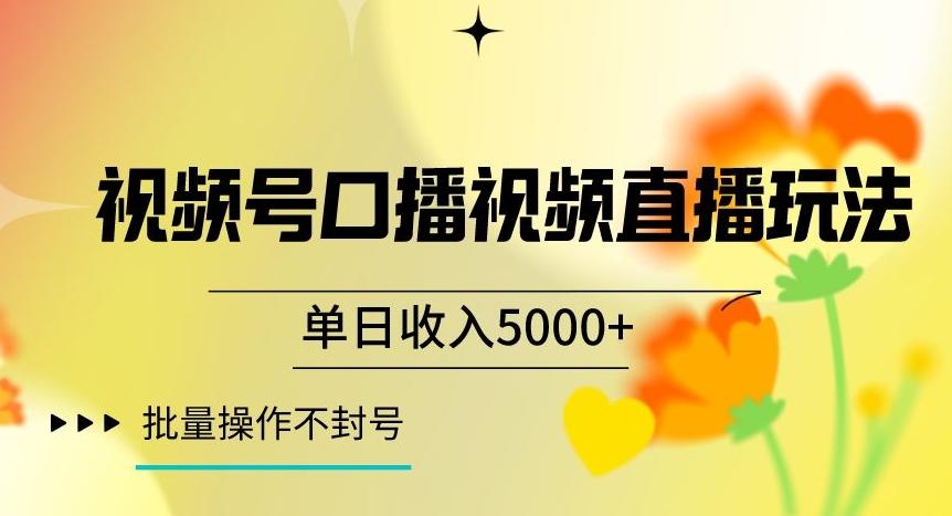 视频号囗播视频直播玩法，单日收入5000+，批量操作不封号【揭秘】-小哈资源
