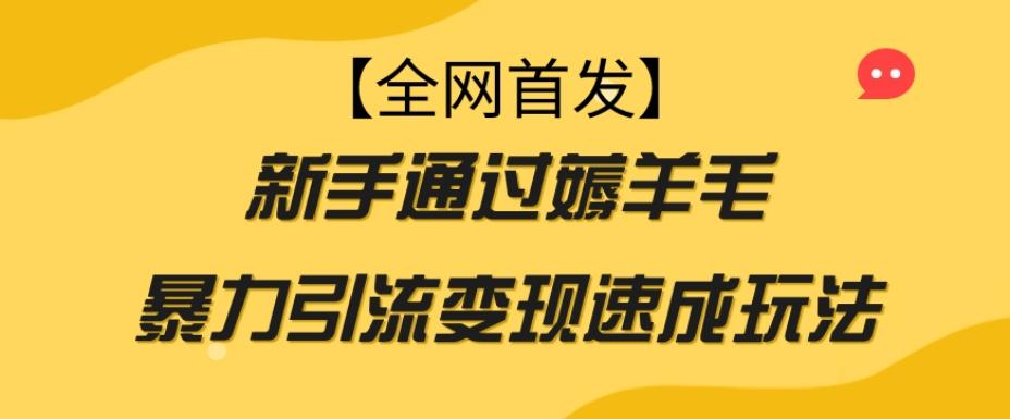 【全网首发】新手通过薅羊毛暴力引流变现速成玩法-小哈资源