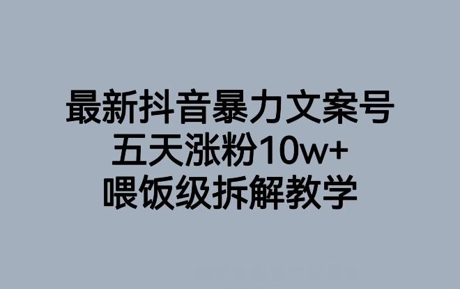最新抖音暴力文案号，五天涨粉10w+，喂饭级拆解教学-小哈资源