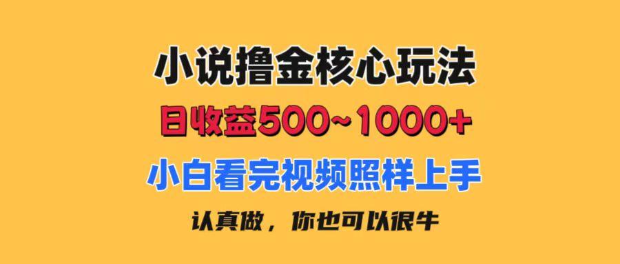 小说撸金核心玩法，日收益500-1000+，小白看完照样上手，0成本有手就行-小哈资源