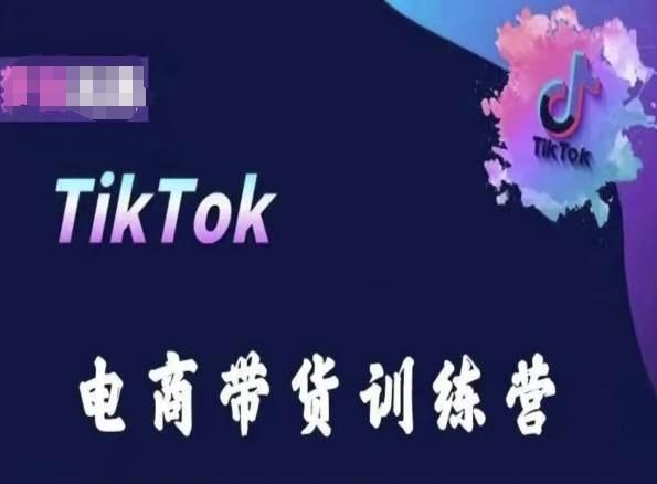 TikTok电商带货训练营，跟随时代潮流，跨境掘金-小哈资源
