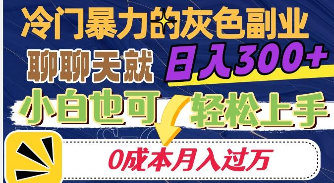 冷门暴利的副业项目，聊聊天就能日入300+，0成本月入过万【揭秘】-小哈资源