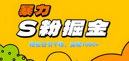 单人单机日引千粉，变现1k+，S粉流量掘金计划攻略【揭秘】-小哈资源