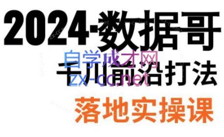 数据哥·2024年千川前沿打法落地实操课-小哈资源