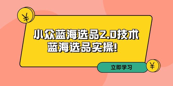 拼多多培训第33期：小众蓝海选品2.0技术-蓝海选品实操！-小哈资源