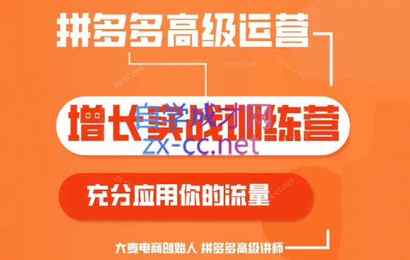 大麦老师·拼多多单品爆款打造课程(更新6月)-小哈资源