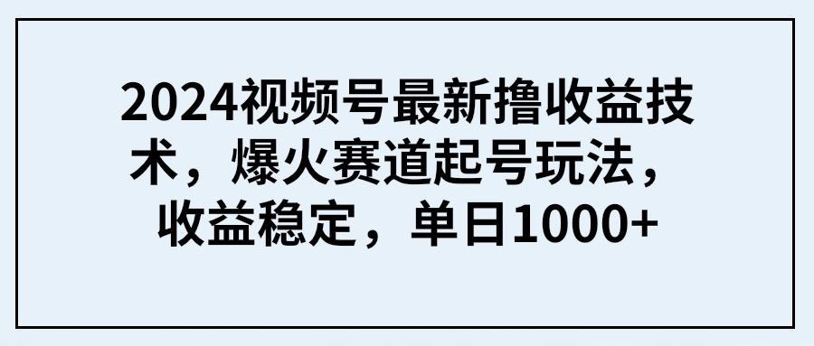 (9651期) 2024视频号最新撸收益技术，爆火赛道起号玩法，收益稳定，单日1000+-小哈资源