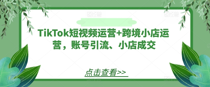 TikTok短视频运营+跨境小店运营，账号引流、小店成交-小哈资源