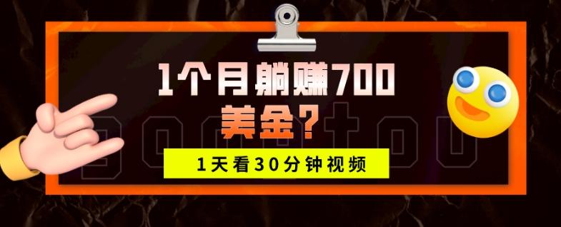 1天看30分钟视频，1个月躺赚700美金？-小哈资源