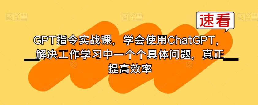 GPT指令实战课，学会使用ChatGPT，解决工作学习中一个个具体问题，真正提高效率-小哈资源