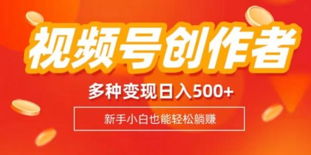 视频号创作者计划，多种变现方式，日入500+【内附1080g视频素材】-小哈资源