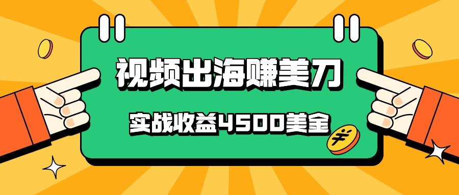 国内爆款视频出海赚美刀,实战收益4500美金,批量无脑搬运,无需经验直接上手-小哈资源