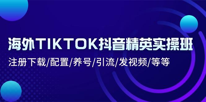 海外TIKTOK抖音精英实操班：注册下载/配置/养号/引流/发视频/等等-小哈资源