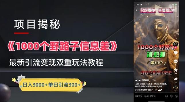 一千个野路子信息差最新玩法教程-变现+引流的玩法具体拆解【揭秘】-小哈资源