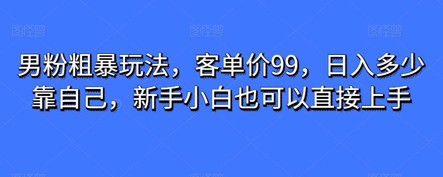 男粉粗暴玩法，客单价99，日入多少靠自己，新手小白也可以直接上手-小哈资源