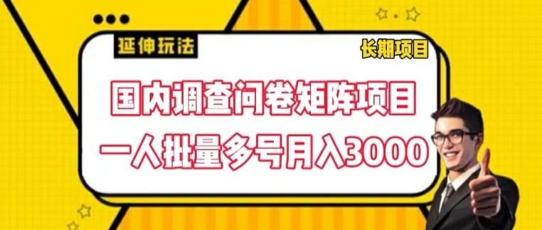 国内调查问卷矩阵项目，一人批量多号月入3000【揭秘】-小哈资源