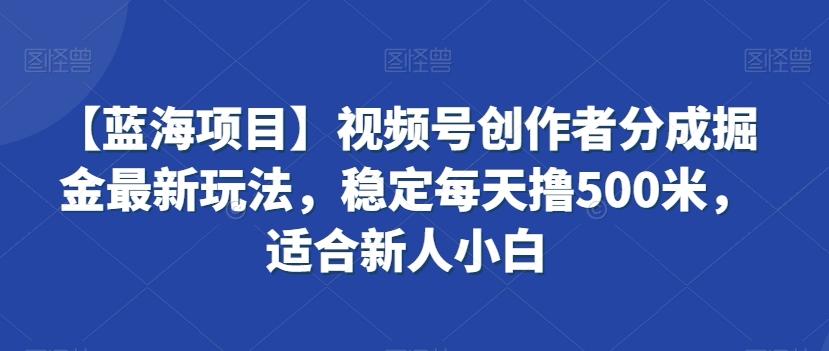 【蓝海项目】视频号创作者分成掘金最新玩法，稳定每天撸500米，适合新人小白【揭秘】-小哈资源