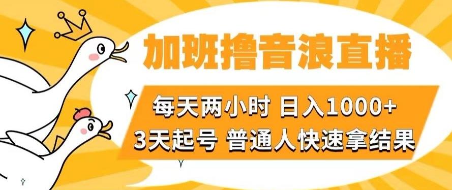 加班撸音浪直播，每天两小时，日入1000+，直播话术才3句，3天起号，普通人快速拿结果【揭秘】-小哈资源