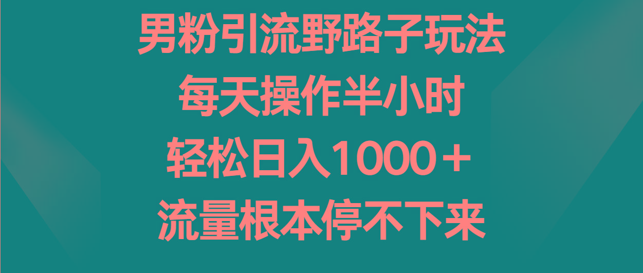 男粉引流野路子玩法，每天操作半小时轻松日入1000＋，流量根本停不下来-小哈资源