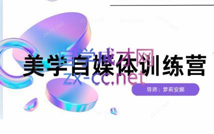 安娜·美学自媒体IP系统课-小哈资源