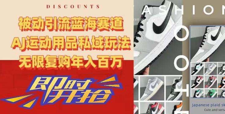 被动引流蓝海赛道，AJ运动用品私域玩法，无限复购年入百万【揭秘】-小哈资源