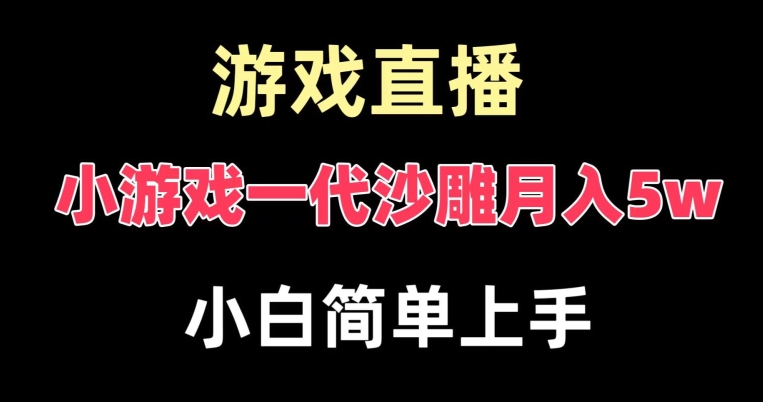 玩小游戏一代沙雕月入5w，爆裂变现，快速拿结果，高级保姆式教学【揭秘】-小哈资源