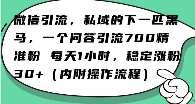怎么搞精准创业粉？微信新赛道，每天一小时，利用Ai一个问答日引100精准粉-小哈资源