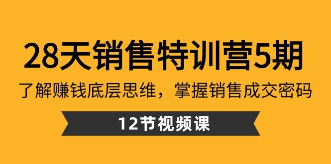 28天销售特训营5期：了解赚钱底层思维，掌握销售成交密码（12节课）-小哈资源