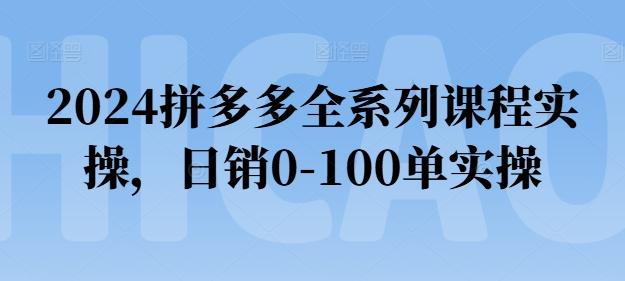 2024拼多多全系列课程实操，日销0-100单实操【必看】-小哈资源