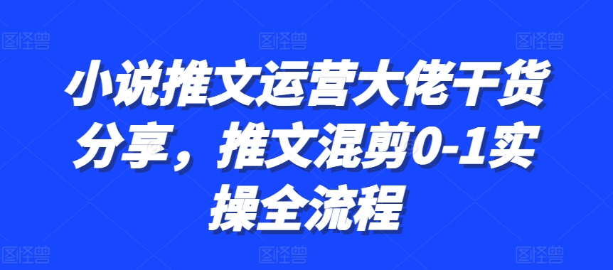 小说推文运营大佬干货分享，推文混剪0-1实操全流程-小哈资源