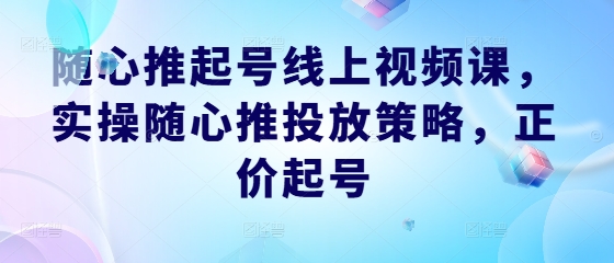随心推起号线上视频课，实操随心推投放策略，正价起号-小哈资源