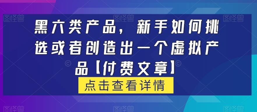 黑六类虚拟产品，新手如何挑选或者创造出一个虚拟产品【付费文章】-小哈资源