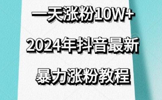 抖音最新暴力涨粉教程，视频去重，一天涨粉10w+，效果太暴力了，刷新你们的认知【揭秘】-小哈资源