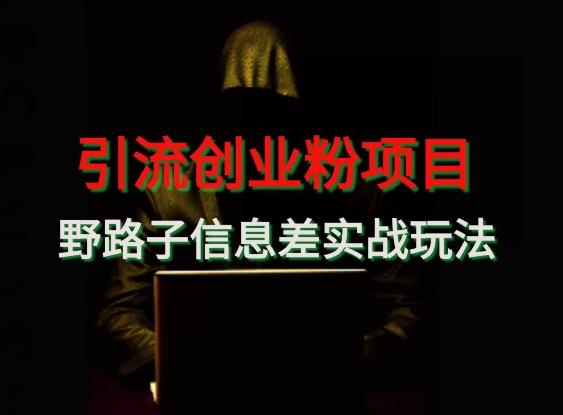 【引流创业粉】野路子信息差玩法实战教学-小哈资源